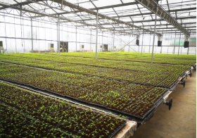 普田潤生物有機肥 普田潤生物有機肥