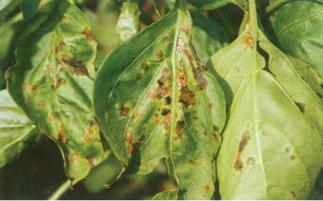 1718096629102290.png image.png