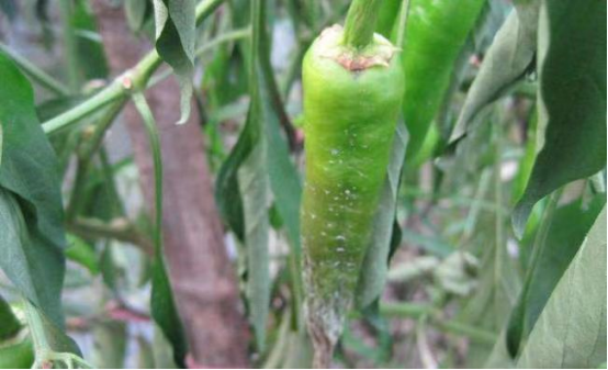 1718096690722186.png image.png