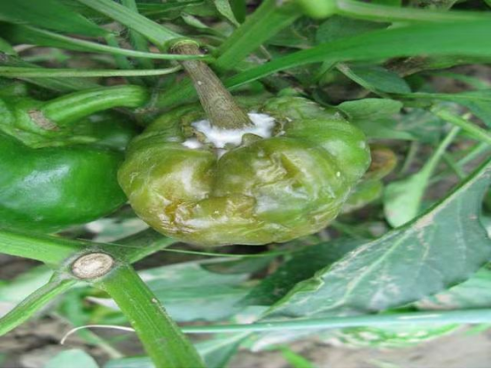 1718096773914955.png image.png