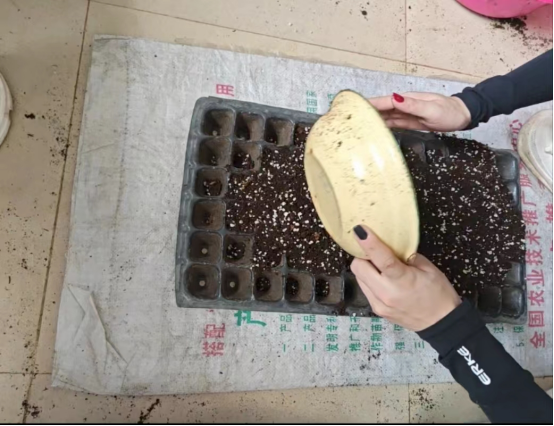 1721265320499056.png image.png