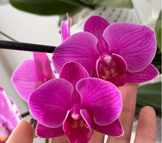 1722046202958872.png image.png